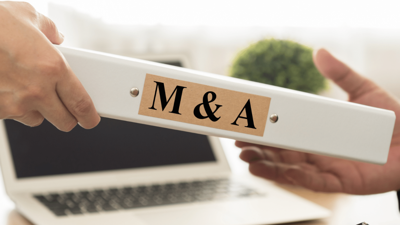 M&Aと事業承継の違いとは？合併の重要作業デューデリジェンスについても解説